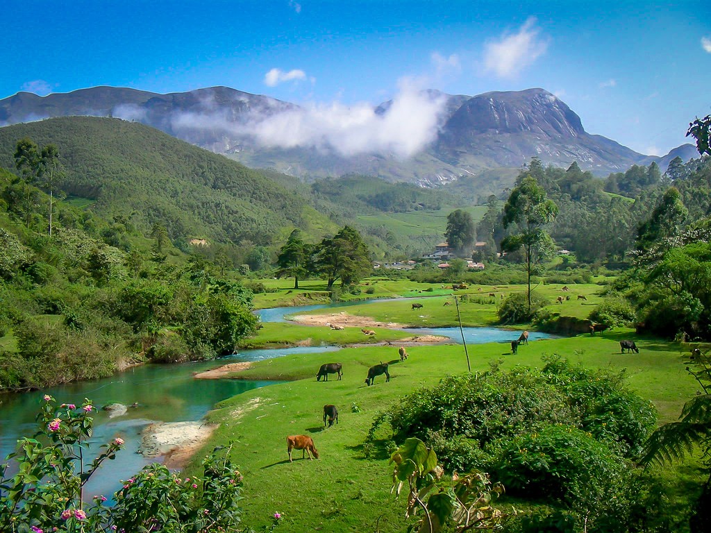 Anamudi is the highest peak in the Western Ghats and South India