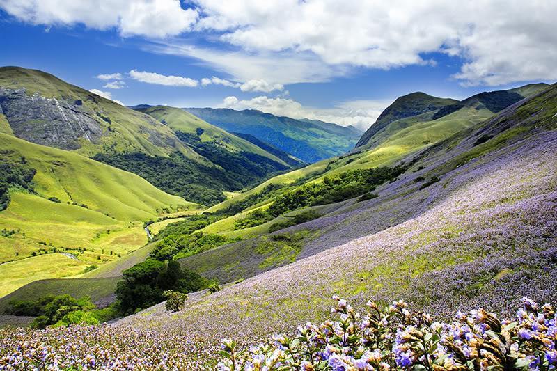 Anamudi Idukki is a unique and interesting tourist destination