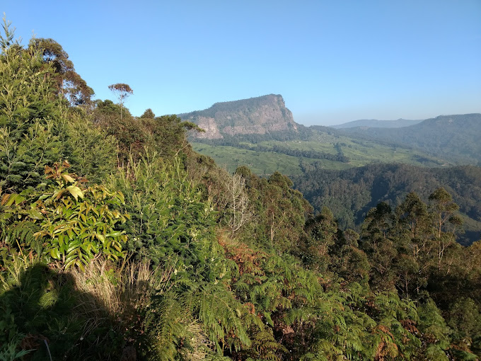 Anamudi Shola National Park Idukki unique and interesting tourist destination 