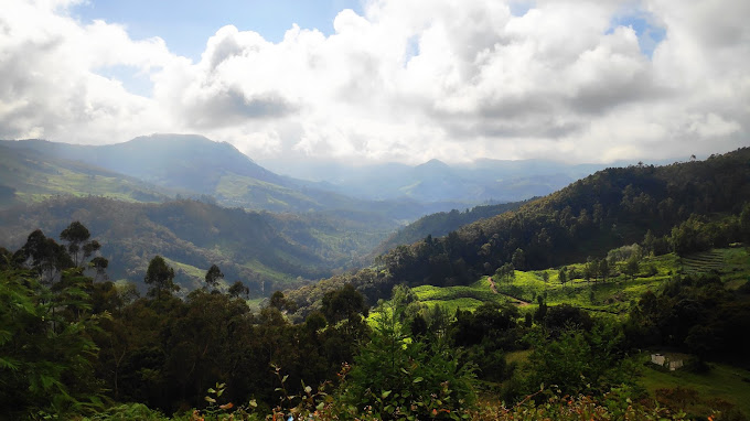 Anamudi Shola National Park Idukki Transpotation