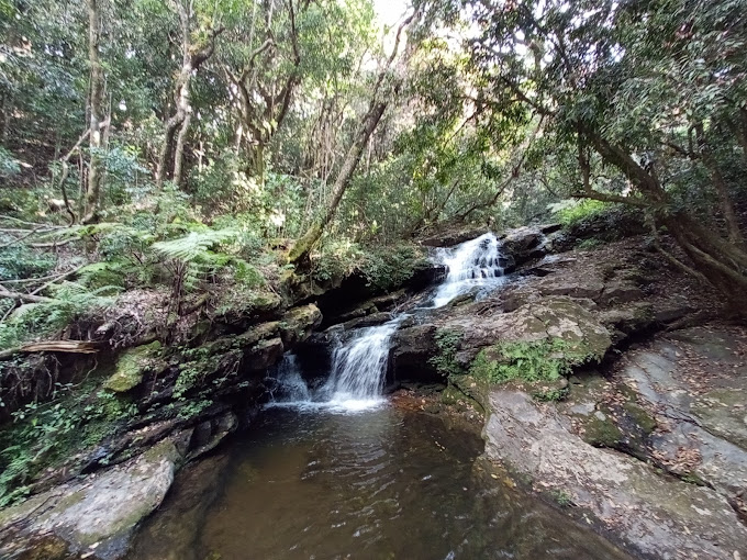 Images of Idukki