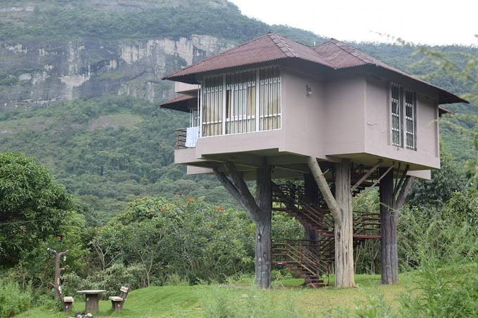 Anamudi Shola National Park Idukki entry details