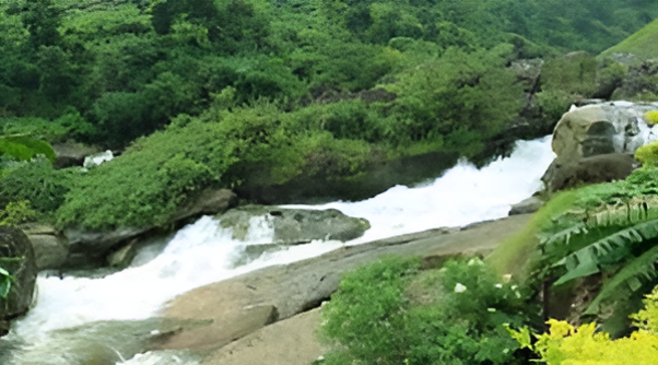 Attukad Waterfalls cascading through lush green hills in Munnar