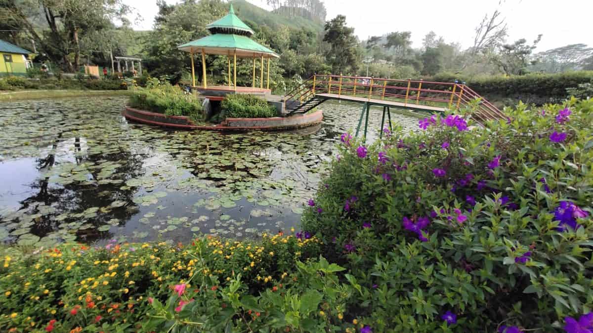 Colorful flower gardens at Blossom International Park in Munnar