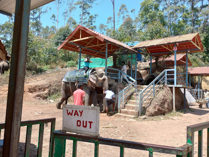 Carmelagiri Elephant Park Idukki unique and interesting tourist destination 