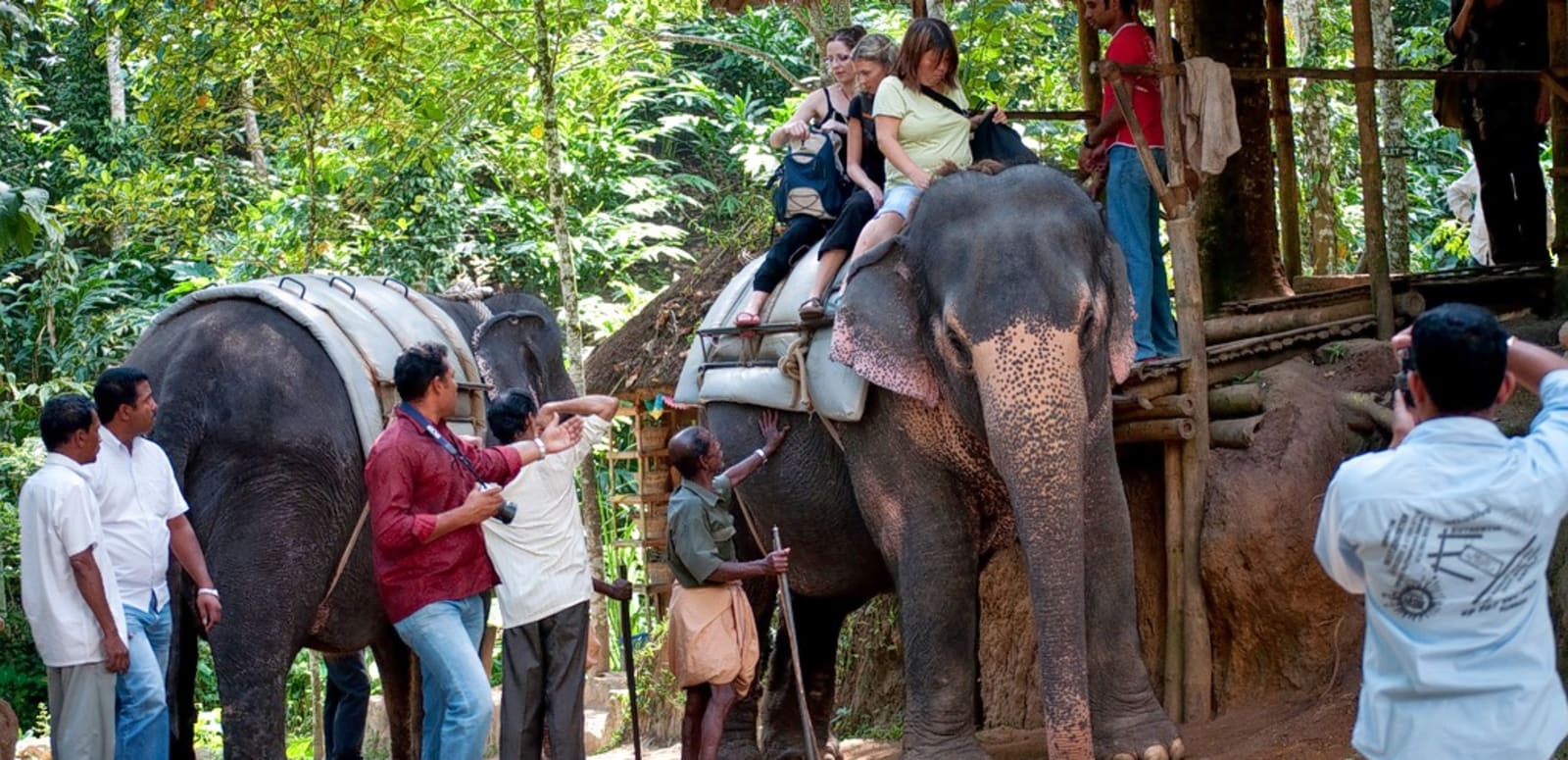 Carmelagiri Elephant Park Idukki attractions