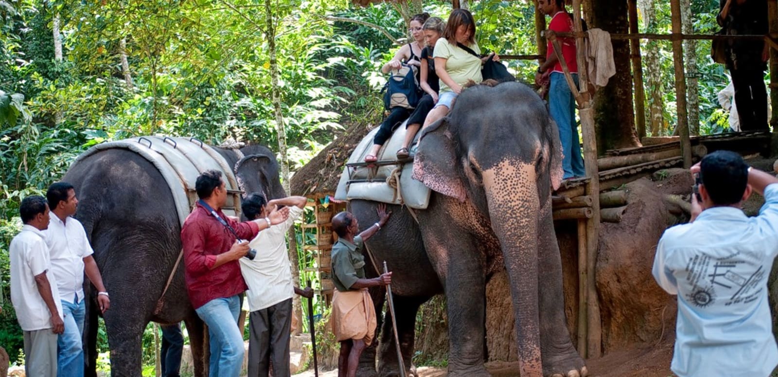 Carmelagiri Elephant Park Idukki attractions