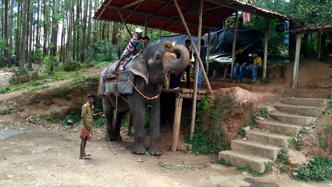 Images of Idukki