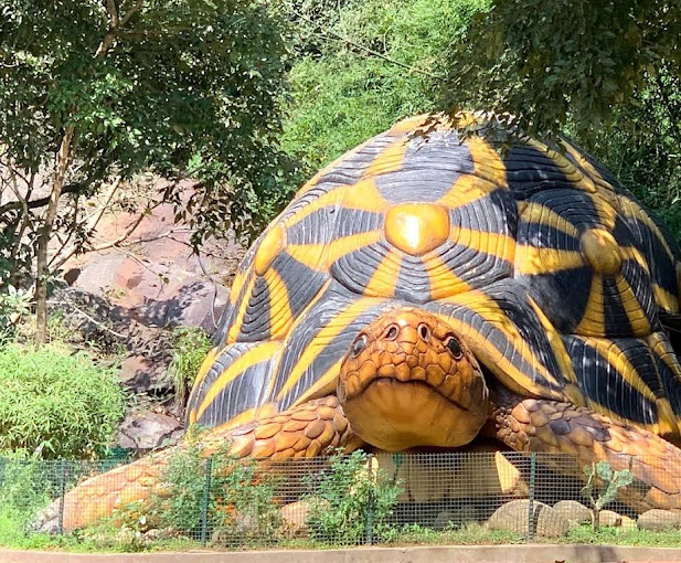 Chinnar Wildlife Sanctuary  Idukki Transpotation