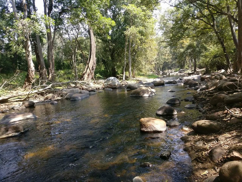 Chinnar Wildlife Sanctuary  Idukki attractions