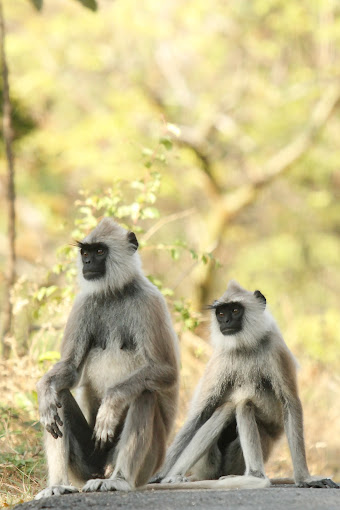 Images of Idukki