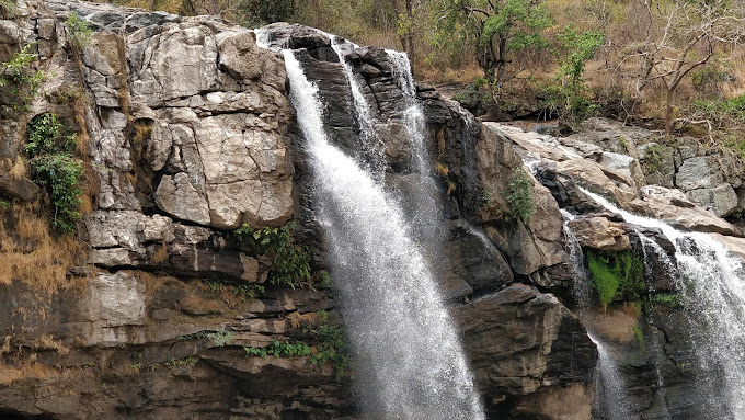 Chinnar Wildlife Sanctuary  Idukki entry details