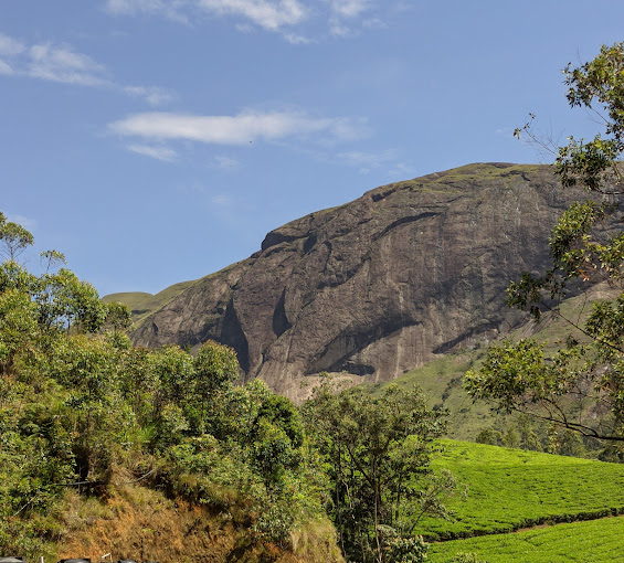 Eravikulam National Park  Idukki Transpotation