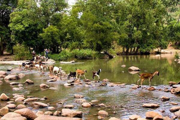 Idukki wildlife Sanctuary entry details