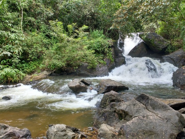 Idukki wildlife Sanctuaryview