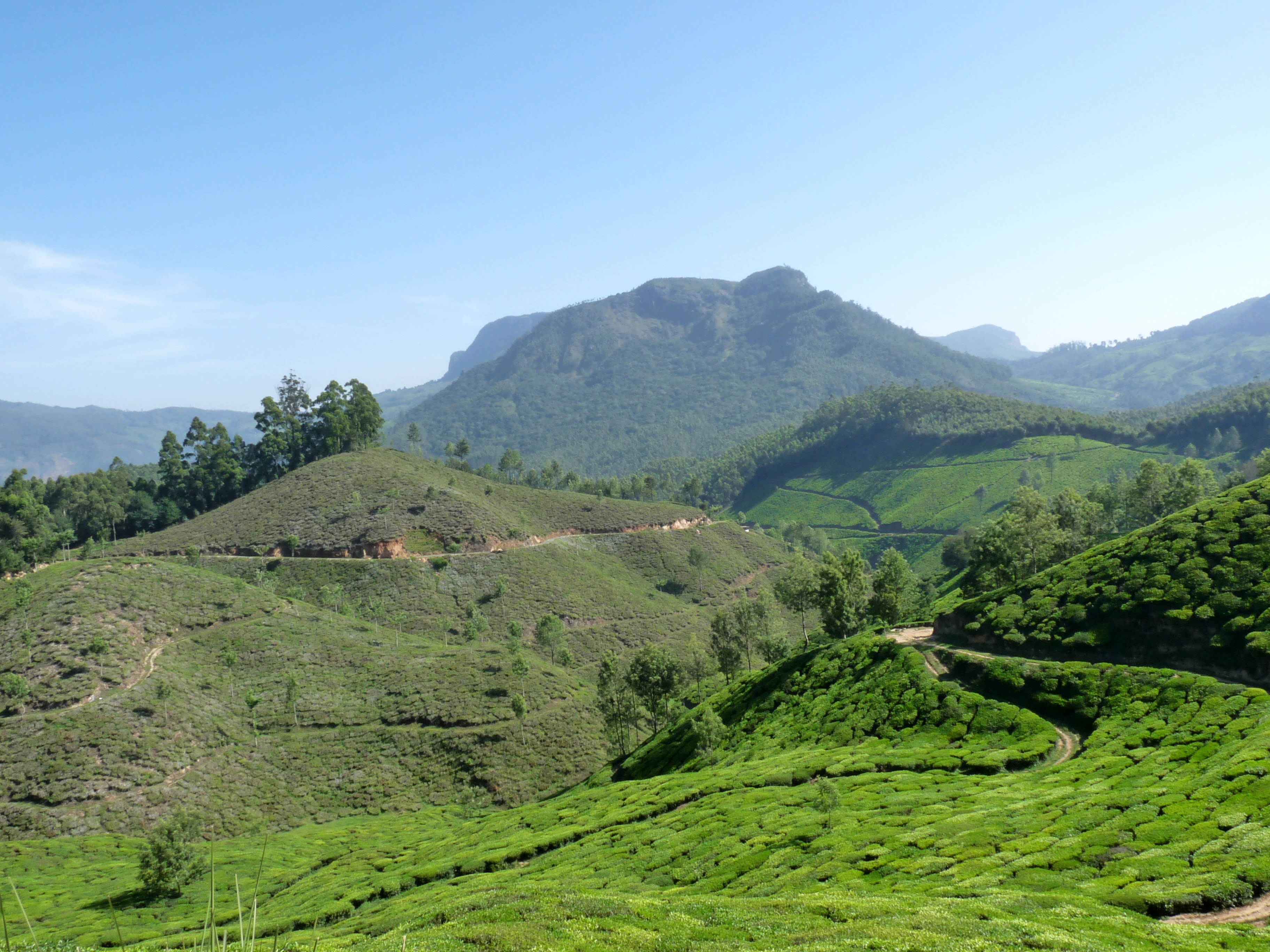 Kannan Devan Hills Idukki