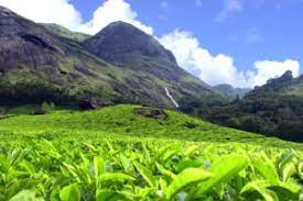 Kannan Devan Hills  Idukki unique and interesting tourist destination 