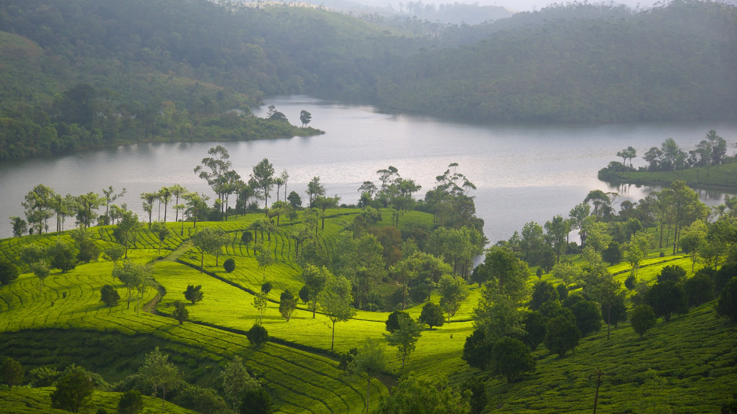 Kannan Devan Hills  Idukki Transpotation