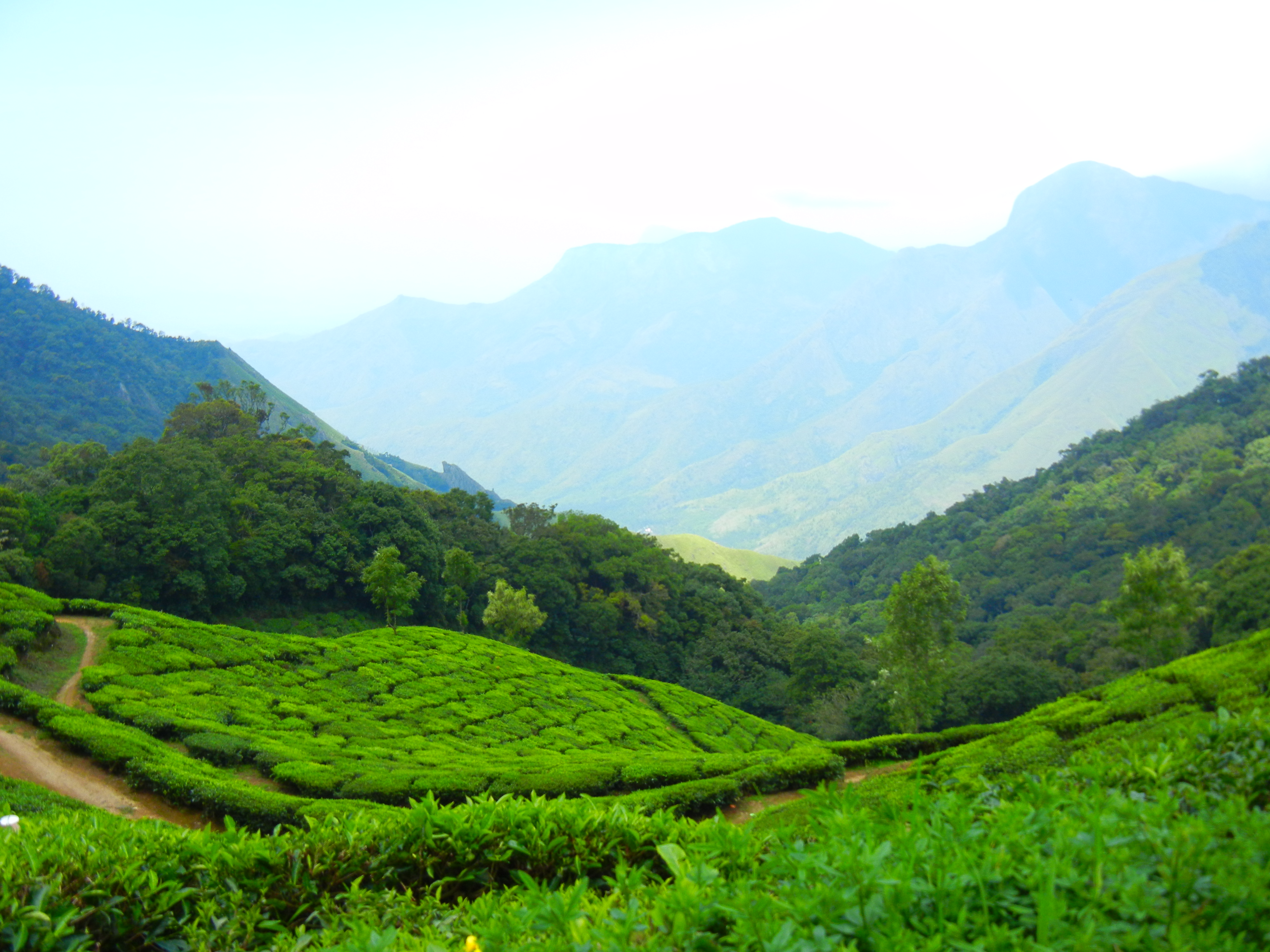 Kannan Devan Hills  Idukki attractions