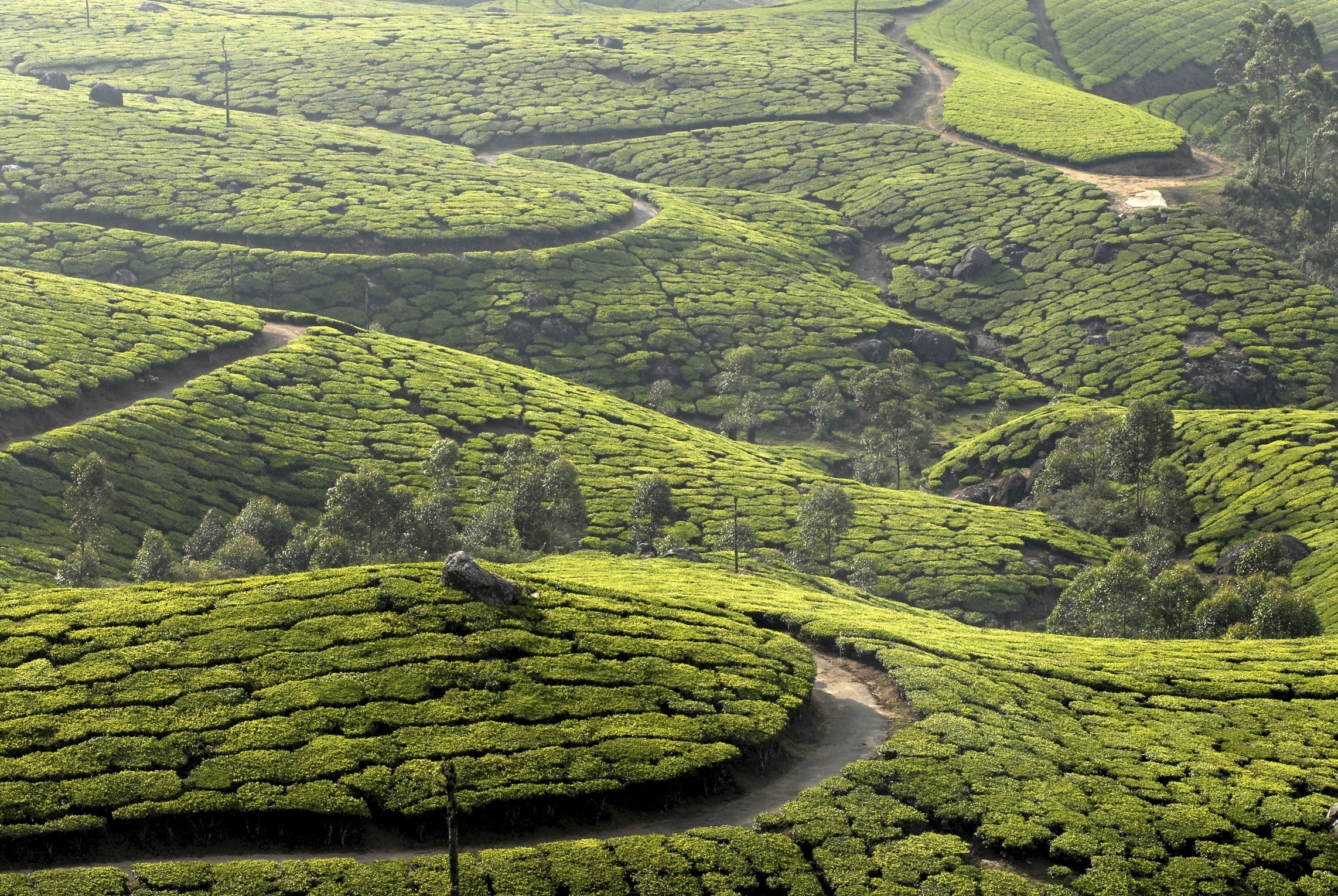 Kannan Devan Hills  Idukki history