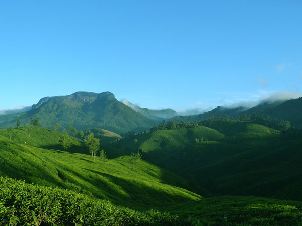 Kannan Devan Hills  Idukki entry details