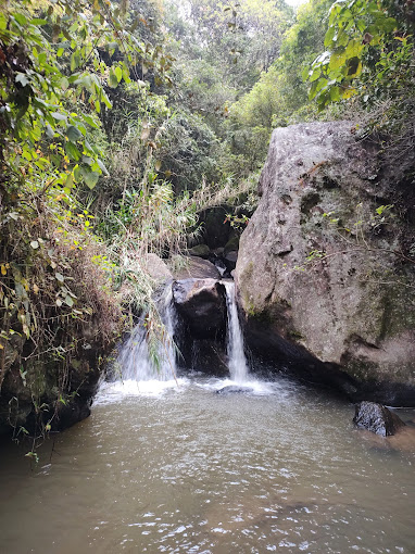 Kurinjimala Sanctuary Idukki Transpotation