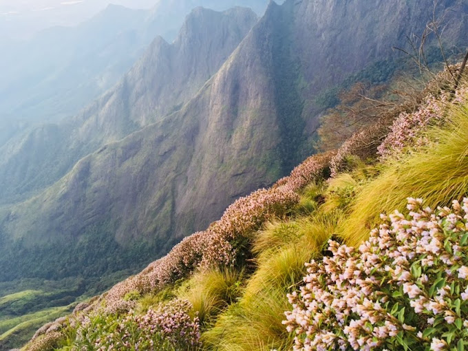 Kurinjimala Sanctuary Idukki history