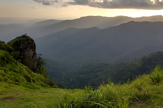 Misty hills and tea plantations in Kuttikanam, Kerala