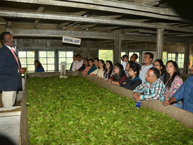 Lockhart Tea Museum Idukki attractions