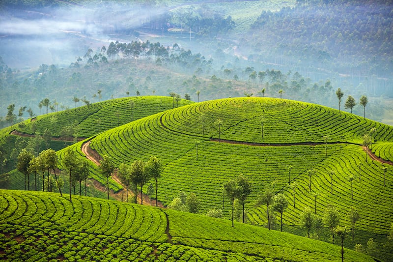 Images of Idukki