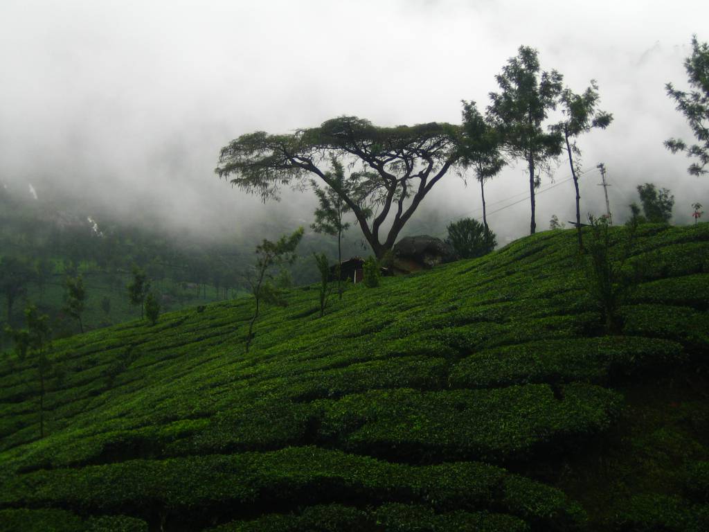 Marayoor Idukki entry details