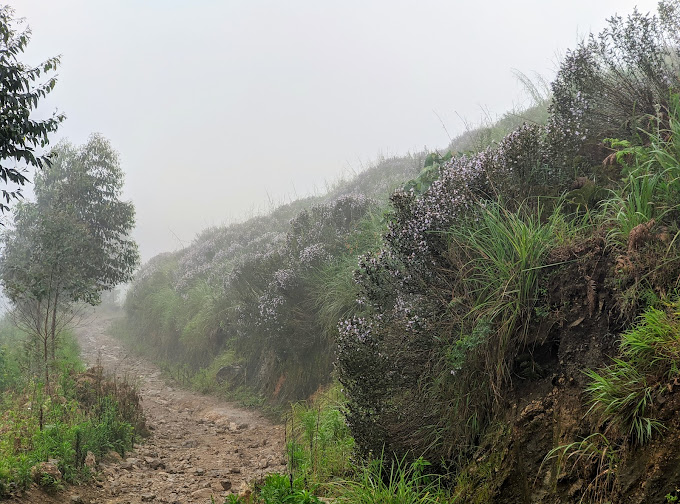 Mathikettan Shola National Park Idukki Transpotation