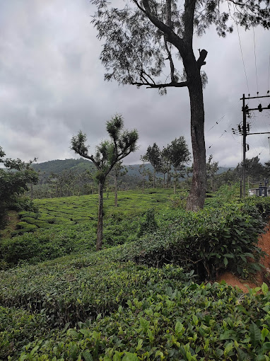 Images of Idukki