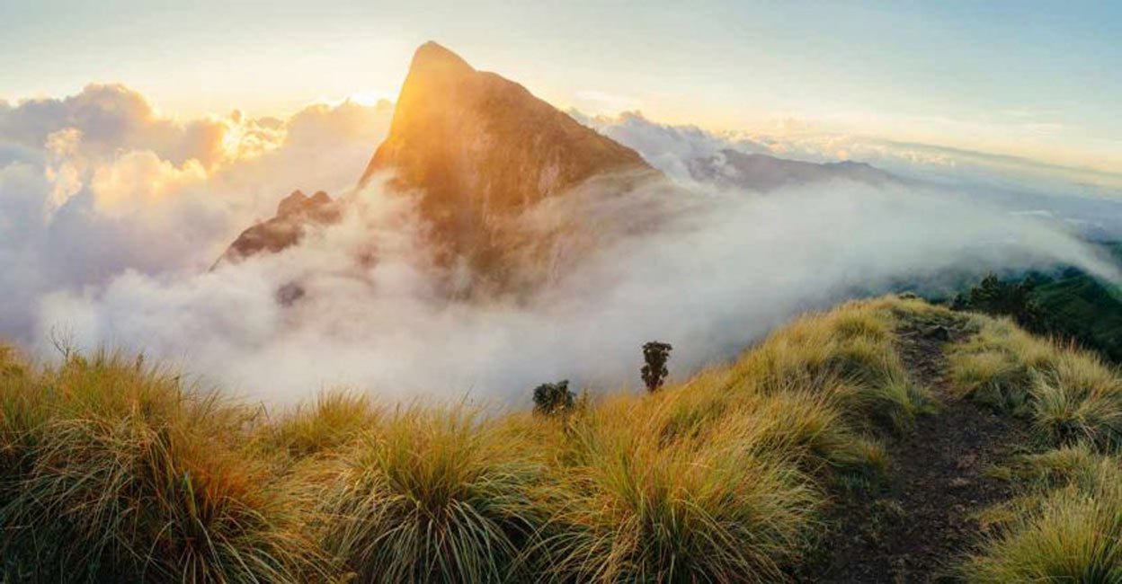 Meesapulimala is also famous for being the second-highest peak in the Western Ghats, after Anamudi