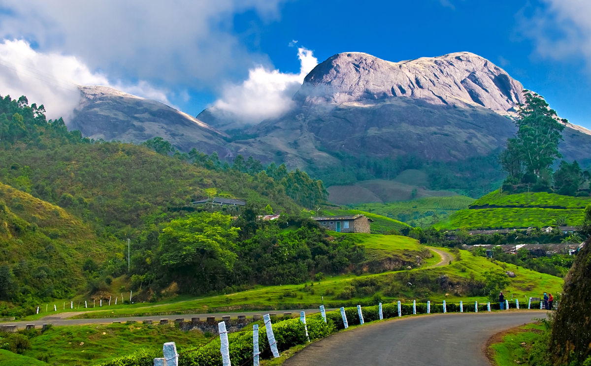 Munnar Idukki unique and interesting tourist destination 