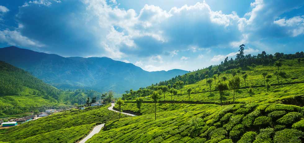 Munnar Idukki history