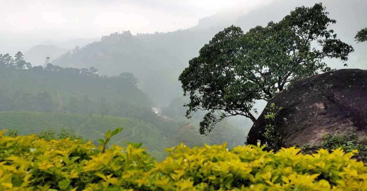 Images of Idukki