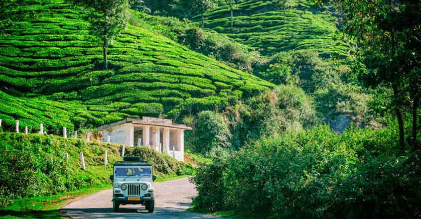 Munnar Idukki view