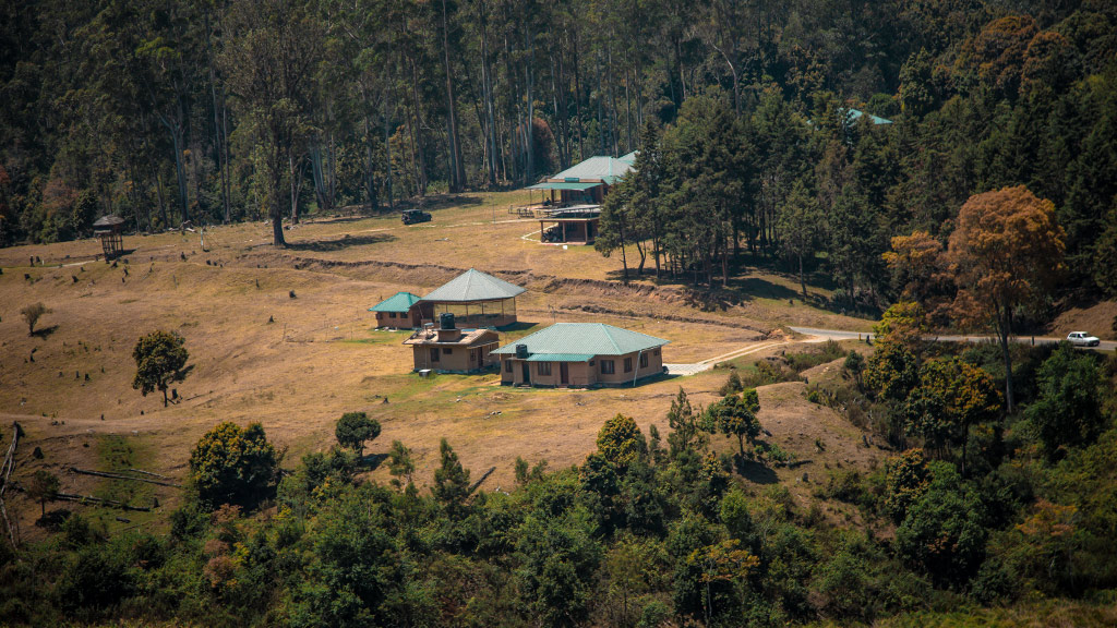 Pampadum Shola National Park Idukki history