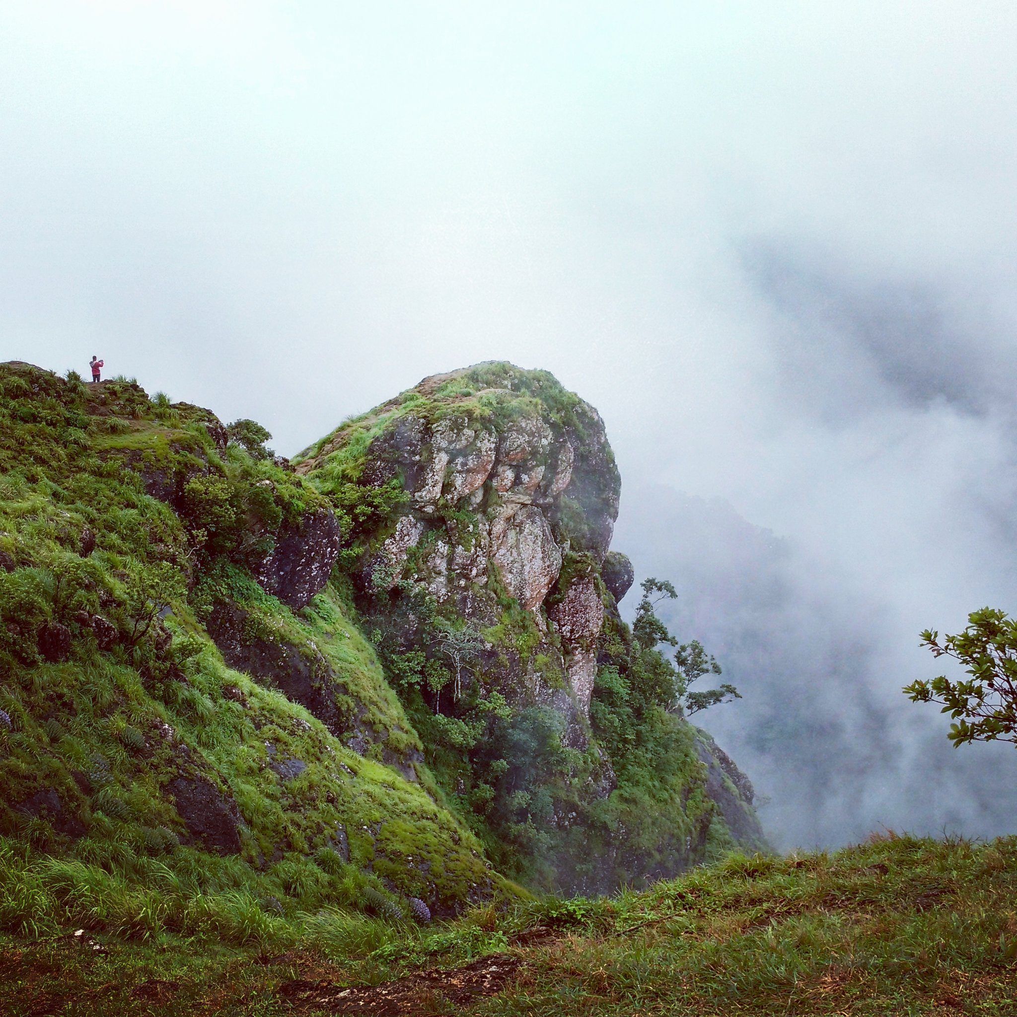 Parunthumpara is also known for its beautiful waterfalls