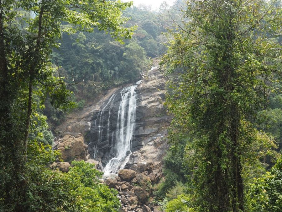 Pothamedu viewpoint surrounded by tea, coffee, and cardamom plantations 