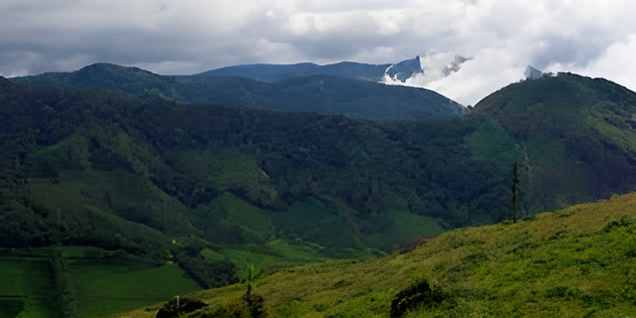 Rajamala hills in Eravikulam National Park with lush greenery