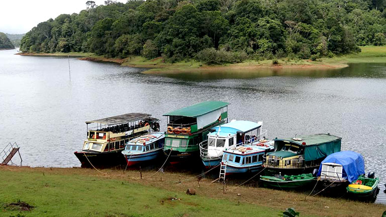 Thekkady Idukki attractions