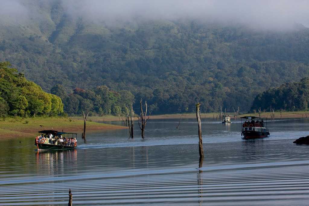 Thekkady Idukki view