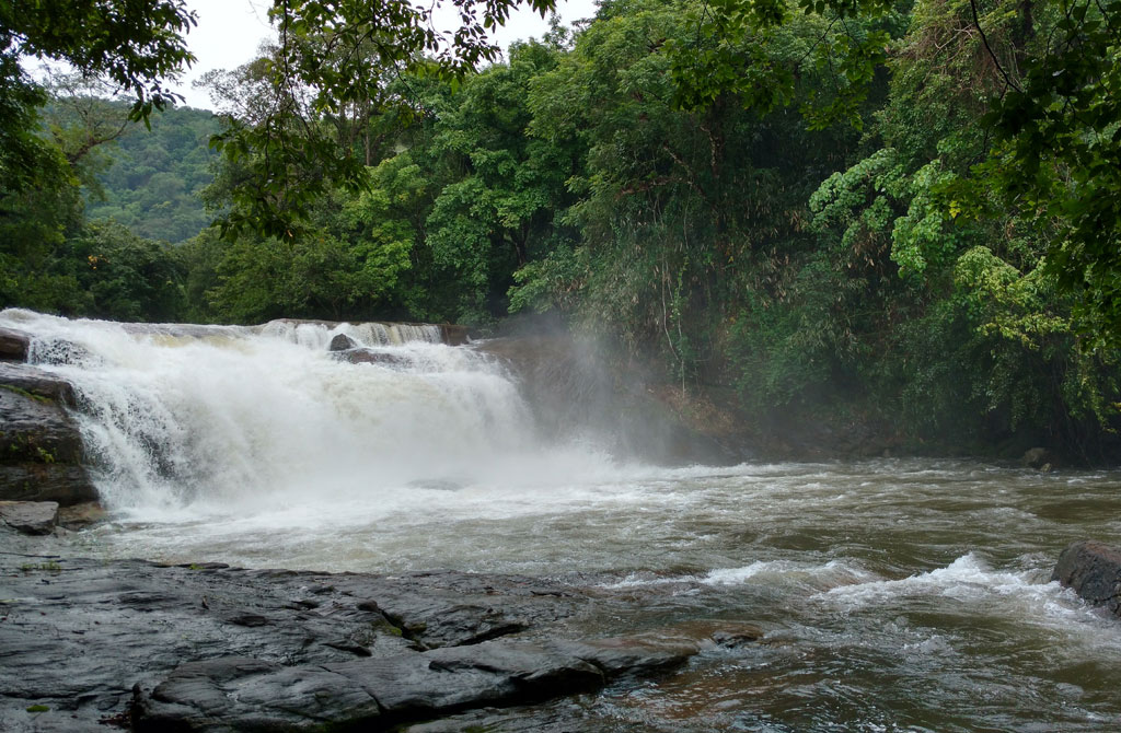 Thommankuthu waterfalls are surrounded by lush green forests