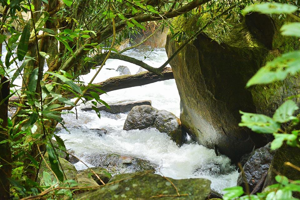 Thommankuthu waterfalls attractions