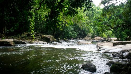 Thommankuthu waterfalls history