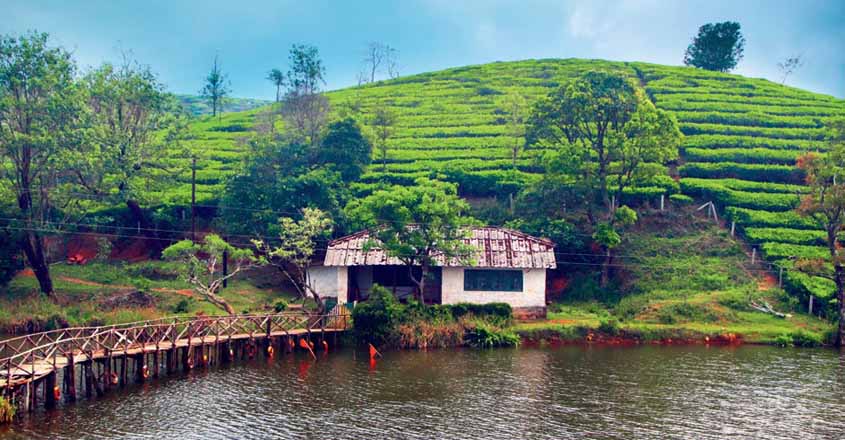 Vagamon is a beautiful hill station