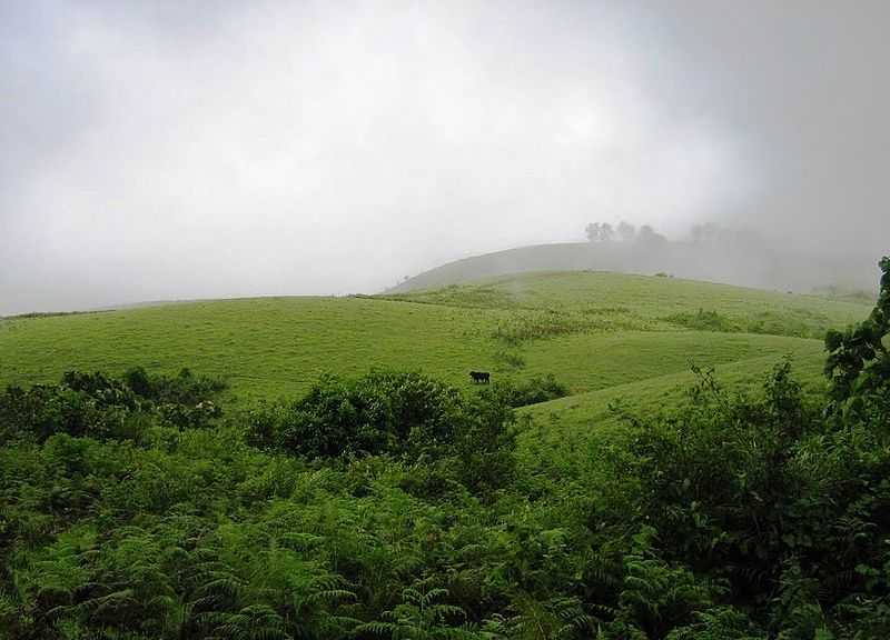 Vagamon  Idukki attractions