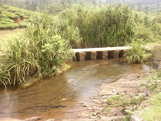 Images of  Idukki